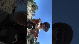 Healthy East Carson Rainbow #fishing #norcal #nature #youtubeshorts #trending #trendingshorts