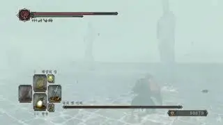 DS2 - Invisible Aava No Damage