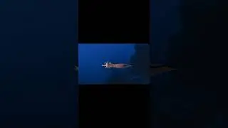 Viperfish's light show rescue | Finn and Toby's Ocean Adventure