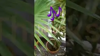My Life's  goal is love nature
