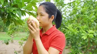 Harvesting 1000+ Yellow MANGO to Sell at Village Market | Daily Country Life