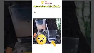 #capillarity #effect #science #experiment #vyasedification #viral #shorts #science #trendingshorts