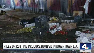 Rotting produce dumped on downtown LA street