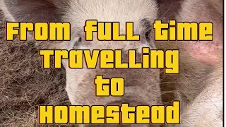 Full Time Travelling To Homestead and home schooling