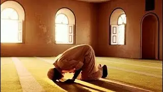 عن الصلاة - محمد سعيد رمضان البوطي - محمد راتب النابلسي - محمد متولي الشعراوي - الحبيب علي الجفري