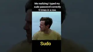 Me writing my sudo password correctly 5 times in a row #distrotube #memes #linux