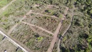 Land Clearing and Cleaning in Canton Texas - Webster Land Management