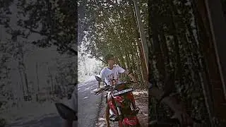 pulsar n 250 wheelie 🔥😎#shorts #wheelie #trending