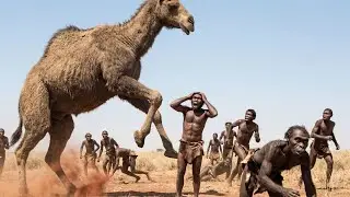 Life 3.6 Million Years Ago | Prehistoric Man Faces a Giant Camel in a Deadly Battle