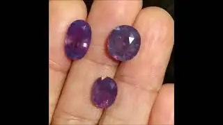 Gem Gardener: 3 Lavender Purple Kashmir Sapphire Unheated Gem