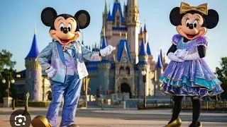 DISNEY WORLD EXPERIENCE  II