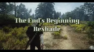 The Witcher 3: Wild Hunt | The End's Beginning Reshade | Ultra High Modded Showcase Review