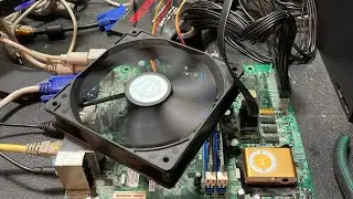 Развлечения с MP3-плеерами в качестве тепловых синхронизаторов