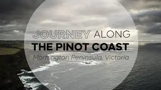 Journey along Australia's Pinot Coast in the Mornington Peninsula