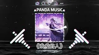 大头针 - 我爱的人 (抖音DJ版) Da Tou Zhen - Wo Ai De Ren『我知道 故事不会太曲折，我总会 遇见一个什么人。』【動態歌詞｜Vietsub｜Pinyin Lyrics】