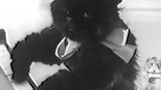 Andy's Gang - Andy, Midnight, and Squeaky - Three Blind Mice
