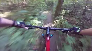 Johnny&rsquo;s Swamp of Doom! Carrick Tract Trails