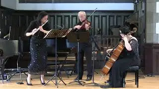 Devienne,  Trio in D minor #3