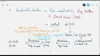 Genome Complexity