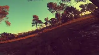Golden Hour │ MB3Drift │ FPV Freestyle
