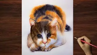 Watercolors  Realistic Cat Painting 