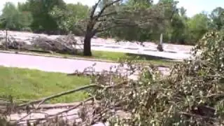 Carbondale Derecho Storm, Communications Building, lots blocked and the Bradford Pear tree is down