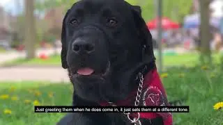 Facility Support Dog Guides