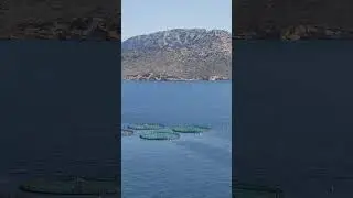 Fish Farms in Greece #fish #fishfarming #athens #greece