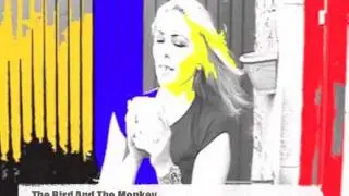 THE BIRD AND THE MONKEY: Athene Noctua DVD Collection - Sarahjane Swan & Roger Simian