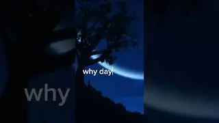Back to december (nene version)