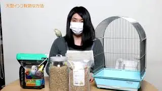 インコのシード食からペレット食への切替方法
