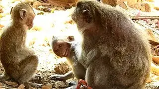 Amina beaten by his mother Mikala angry whit her baby