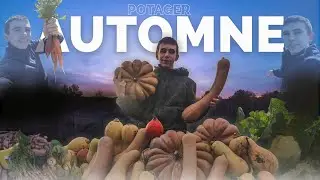 Mon POTAGER d'AUTOMNE r&eacute;ussi &agrave; 100% 🍂!! (Ou presque...)