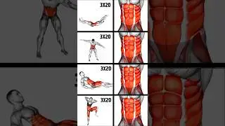 Abs Workout | Fat Loss Workout | Core Workout | Cardio Workout | Weight Loss | Cardio | HIIT #shorts