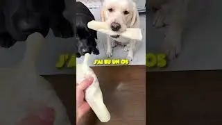 POURQUOI IL A DE LA VIANDE LUI ?! 😱🤬
