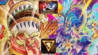Hungry Burger vs Transamu #edopro  #rushduel  #duelreplay