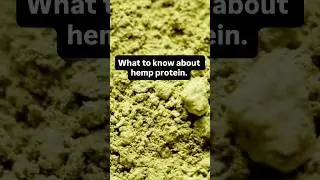 What is hemp protein?