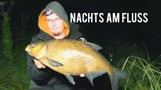 Ansitzangeln am Fluss | Mit Futterkorb und Waggler auf Brasse und Rotauge | Überraschung am Schluss