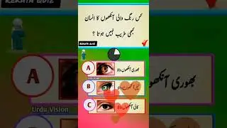 Islamic Qustions and Answers | Urdu knowledge | Urdu Quiz | Gernal Knowledge|#quiz #knowledge