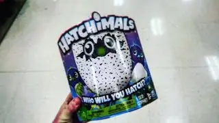 How to Buy a Hatchimals Egg | Easy