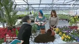 9H50 le Matin dans les serres du lycée d'horticulture de Dardilly (suite)