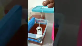 Zinc Plating at home