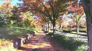 「寝不足の朝、朝日が眩しい。」