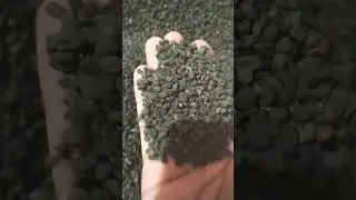 babchi seeds | babchi seeds benefits | babchi kise kehte h