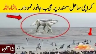 Sahil Samandar Per Ajeeb Makhlooq Dekhi Gai |FM Info World