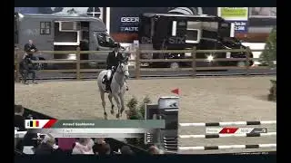 C-Jay Z: 6yo Stallion Competition Jan 2023
