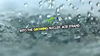 Radioactive Labelling of Nucleic Acids and Proteins