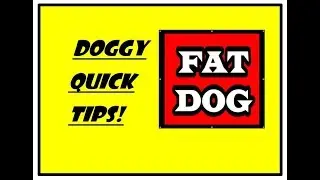 My dog is TOO FAT!!  How and Why!!!
