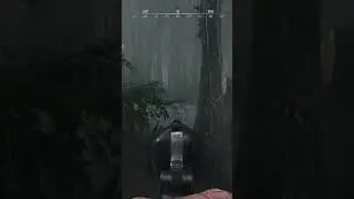 Skins in hunt:showdown are crazy, especially in the rain