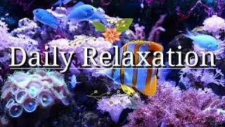 Daily Relaxation Underwater Scene Rare and Colorful  Scenery